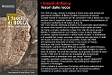 I Fossili di Bolca_09